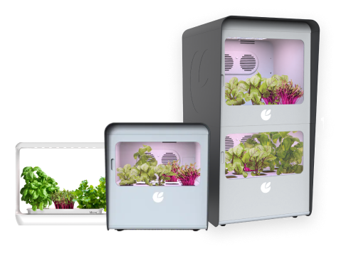 CityCrop One