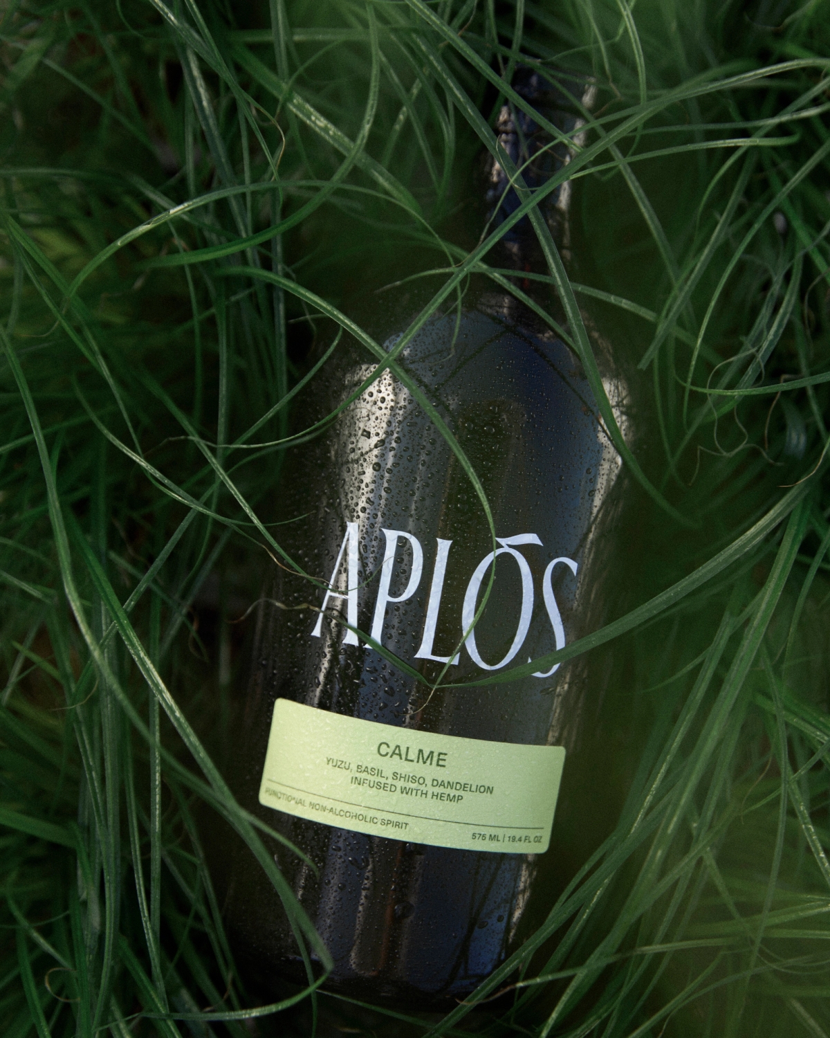Aplós Arise